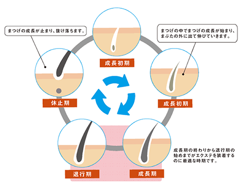 高知のまつげエクステサロン｜C Care Eyels(シーケアアイルズ)